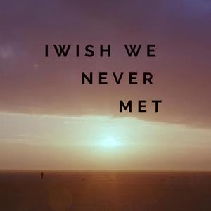 I Wish We Never Met