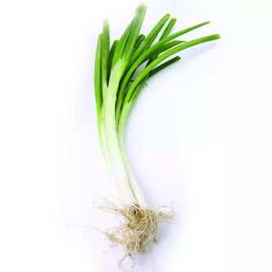 革命要成功还需更努力