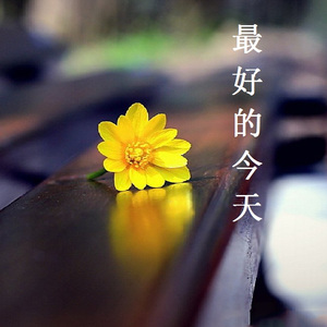 最好的今天（翻自 曾胜）
