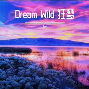Dream Wild 狂梦