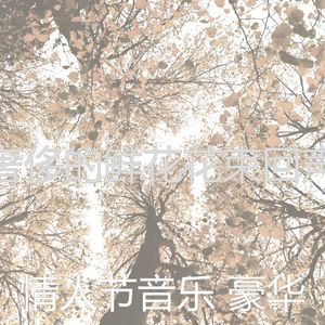 精彩浪漫的晚餐环境