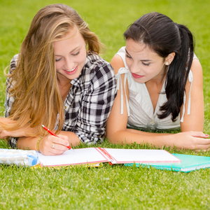 Zenful Learning Journey