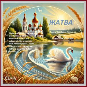 Что ж ты робкий такой