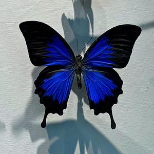 不如不见面Remix