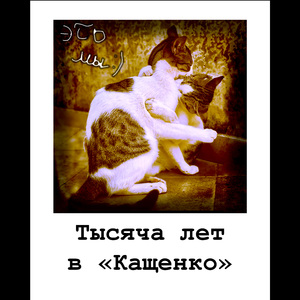 МЁРТВЫЕ КИСЛЕЮТ (НО НЕ МРУТ!)