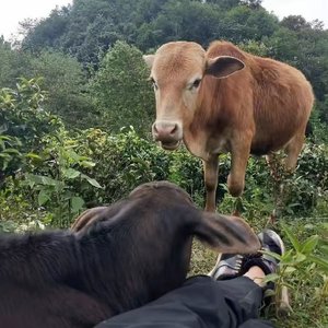 眼镜片上的雾中城