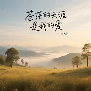 苍茫的天涯是我的爱