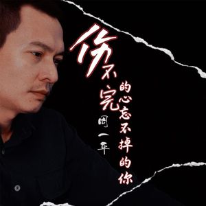伤不完的心忘不掉的你