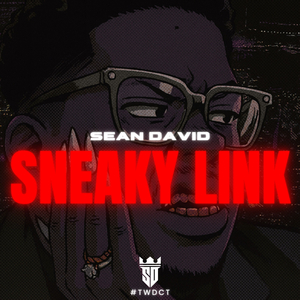 Sneaky Link