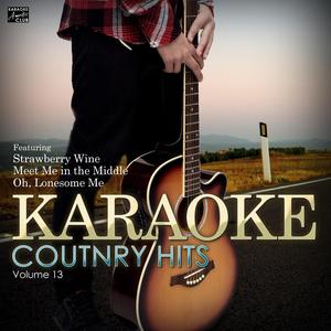 Stuff (In the Style of Diamond Rio) [Karaoke Version]