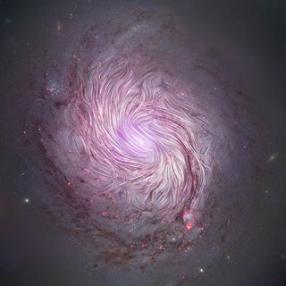 每日必听｜精选集-空灵吟唱中藏着星海