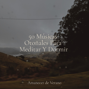 Oasis de Armonía Universal