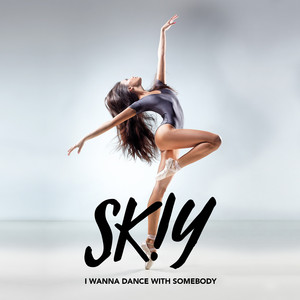 I Wanna Dance with Somebody (Who Loves Me) (Instrumental)