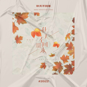 王强-王强 - 秋天不回来（BAD bootleg）（BAD remix）