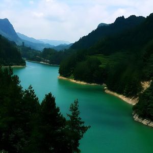 我笑青山多寂寞（伴奏）