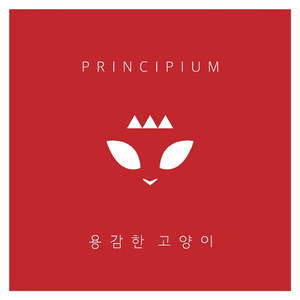 용감한 고양이 (Inst.)