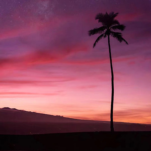 情诗（抖音版）