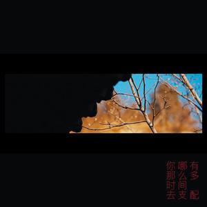 你哪有那么多的时间去支配