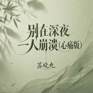 别在深夜一人崩溃(心痛版)