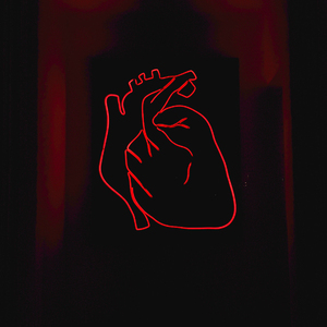 致终将消逝之人