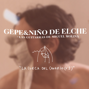 la cueca del canario (V.2)