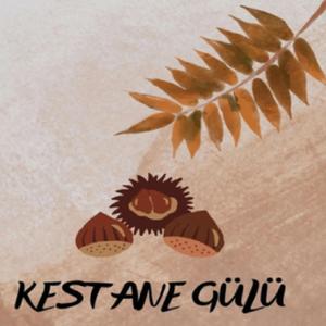 KESTANELERİN ŞARKISI (KESTANE GÜLÜ CİNİUS YAYINLARI KİTABIMDAN)