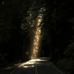 我好想你（旁白版）（翻自 苏立生）