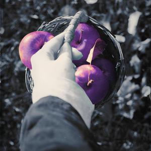 HEAVENLY HELL (with Hollow Profit)