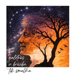 Es esmu viens. Es esmu neskaitāms