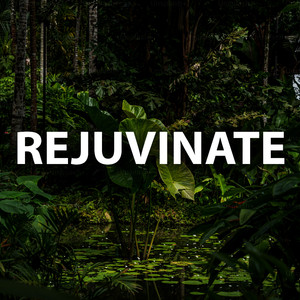 Rejuvinate
