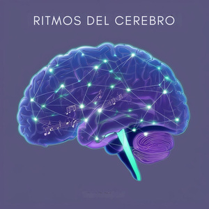 Cerebelo - El Maestro del Movimiento