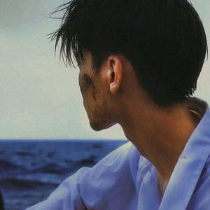 可惜不是你