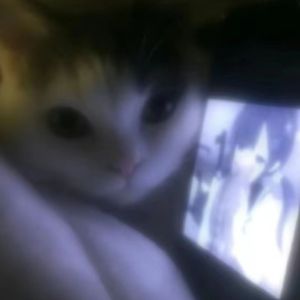 ★˖˚˳被抛下の爱₊⁺♡̶₊⁺[Prod Gray Planet]