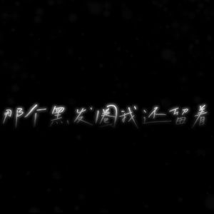 那个黑发圈我还留着