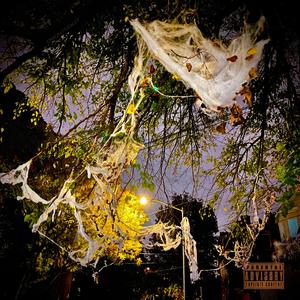 Dangerous (feat. Grandmaster Shogun & P-Trill)