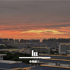 你的名字 是我默念过最短的咒