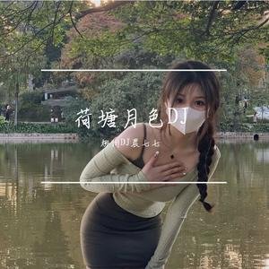 柳州DJ晨七七-荷塘月色DJ
