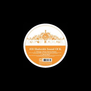 Chicago (Simon Flowers Remix)