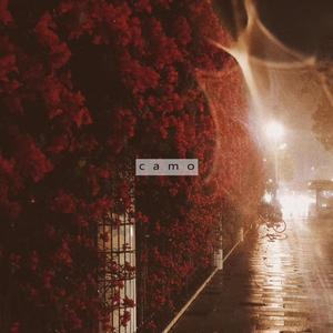 c a m o