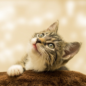 Ambien Gone Bad Midnight Binge Dancer