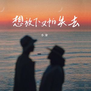 想放下又怕失去