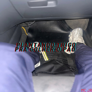 Plantando o trigo pra colher o pão