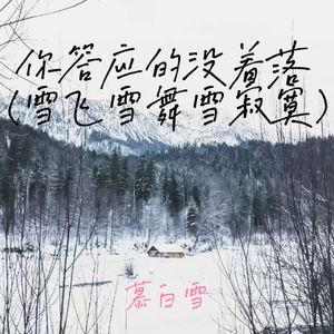 你答应的没着落 (雪飞雪舞雪寂寞)