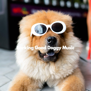 Playful (The Cutest Puppy)