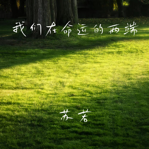我们在命运的两端