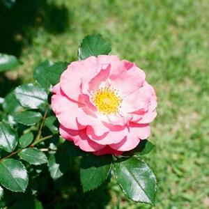 那个远方 (11 Remix)