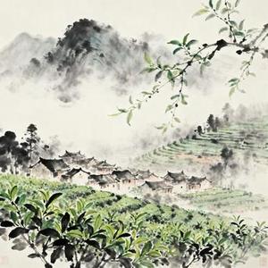 山哈茶眠