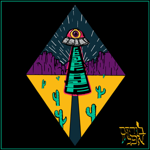 המשימה נכשלה