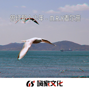 曾经那个少年(抖音DJ版)