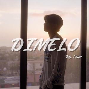 DIMELO